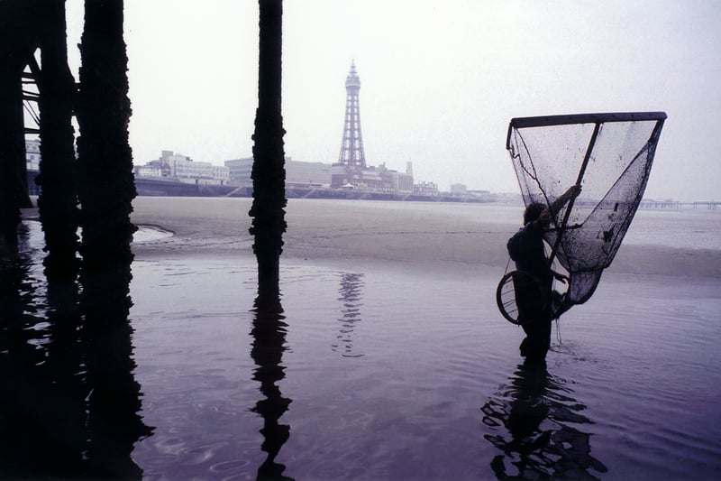 A shrimp fisherman wades out into seawater under Blackpool pier in the early morning, holding his fishing net as he looks for shrimp in the water, 1990