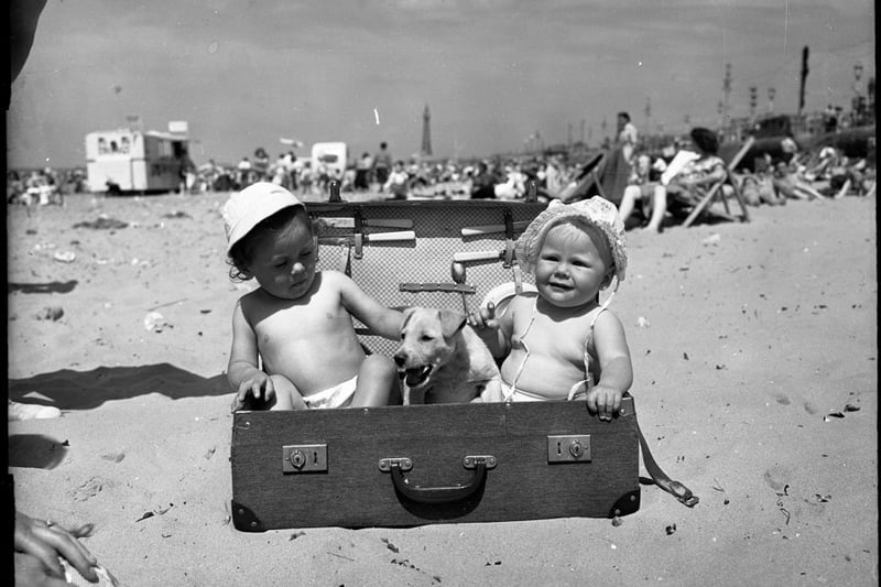 Two babies and their pet dog enjoy a day on Blackpool beach in 1960 from the Talbot Archives