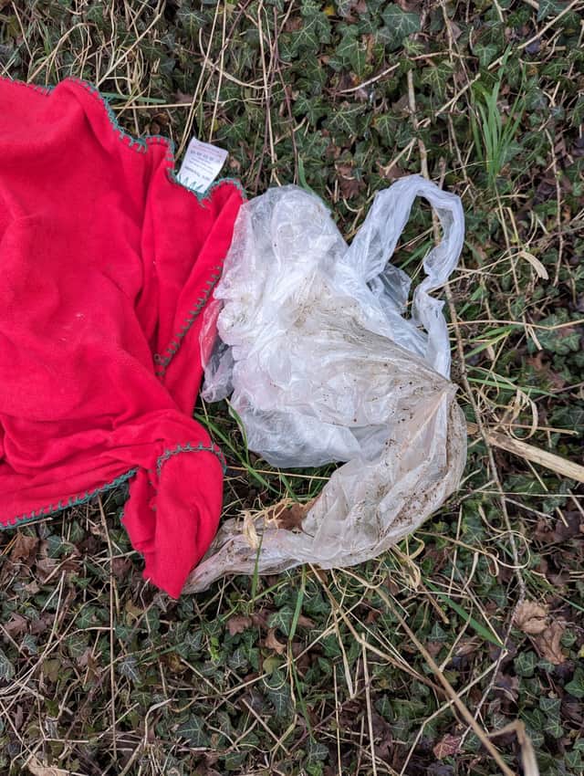 The plastic bag in which the baby dachshund was abandoned.