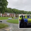 Police were called to reports of an 'aggressive' dog on the loose at Roughwood Way, Wingfield, Rotherham, and have appeared for a witness to come forward. Main picture: Google. Inset picture: National World