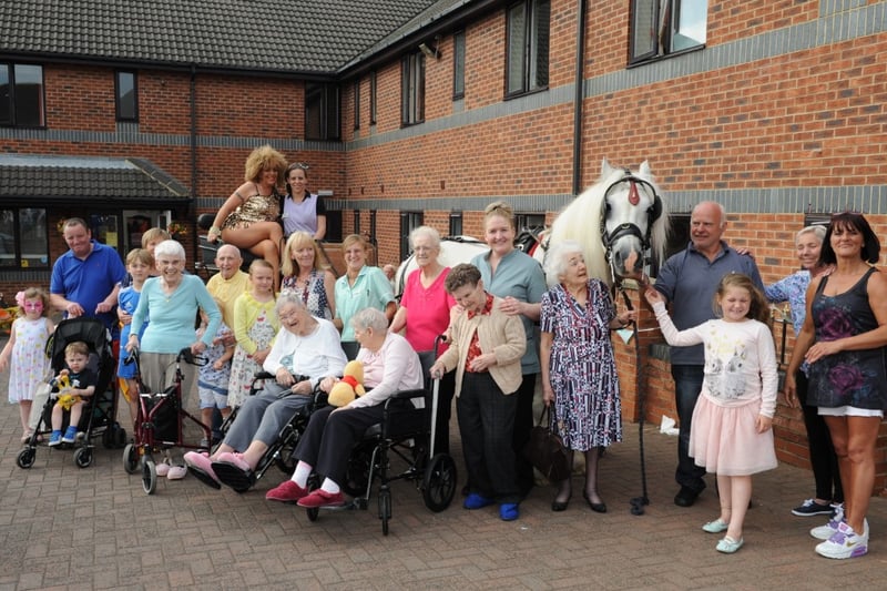Duke the horse was one of the VIP visitors to Ashlea Lodge for its summer fair in 2016.