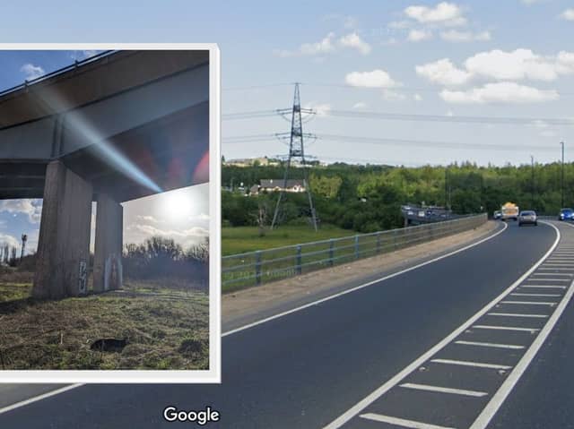 The A57 viaduct near Beighton, Sheffield, from which a dog fell it its tragic death, in an incident being treated as an accident