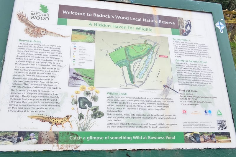 The information board by the pond includes a map of the nature reserve as well as some background about the pond and its wildlife.