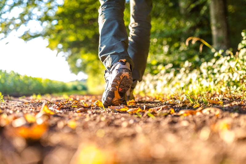 Walking is also hugely popular, especially at the beginning of the year as people tend to set fitness goals. 30% of people said they enjoy walking as a hobby.