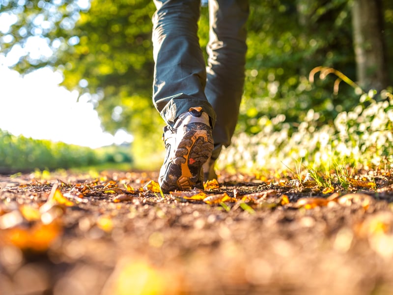 Walking is also hugely popular, especially at the beginning of the year as people tend to set fitness goals. 30% of people said they enjoy walking as a hobby.
