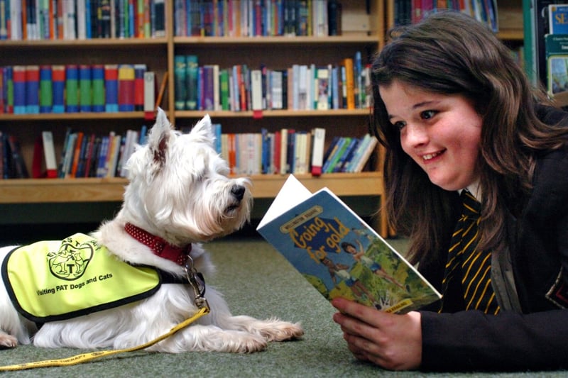 Nikita Smith, 12, and Cally the West Highland White Terrier were in the library at Farringdon Community Sports College. 
Cally went into the school as part of the Kennel Club's Bark and Read scheme.
