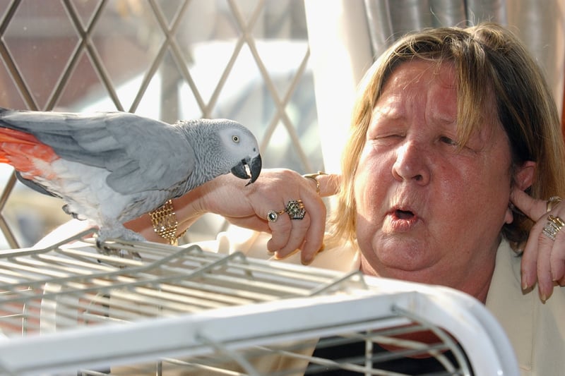 Belle Isle bed and breakfast landlady Ann Gordon who owned Jasper - a foul-mouthed swearing parrot. Pictured in February 2003.