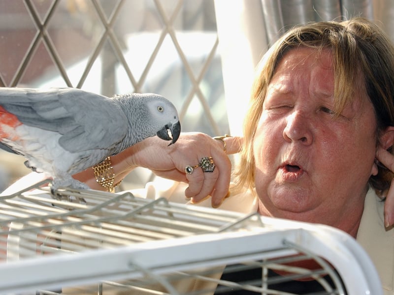 Belle Isle bed and breakfast landlady Ann Gordon who owned Jasper - a foul-mouthed swearing parrot. Pictured in February 2003.