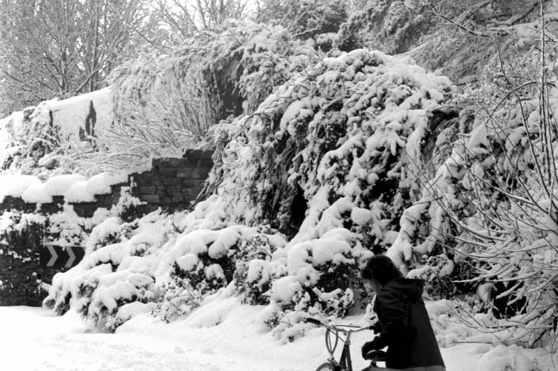 A cyclist pushing their bike through the snow along Morningside Road/ Craighouse Road, Edinburgh.  January 1984.