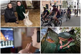 Here are 11 things to do in and around Sheffield this February half term 2024.