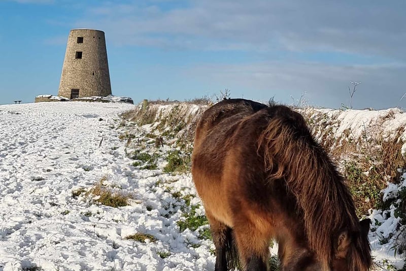 Nine amazing photos of Cleadon Hills sent in by readers