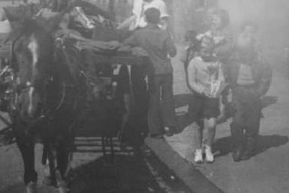 Children play about the horse and cart ridden by a rag and bone man