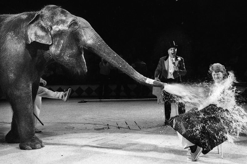 Teacher Laura Turner is sprayed with gallons of water by Alexandra the elephant at Blackpool Tower Circus for a special wash and shampoo session on Wednesday 25th of October 1989 