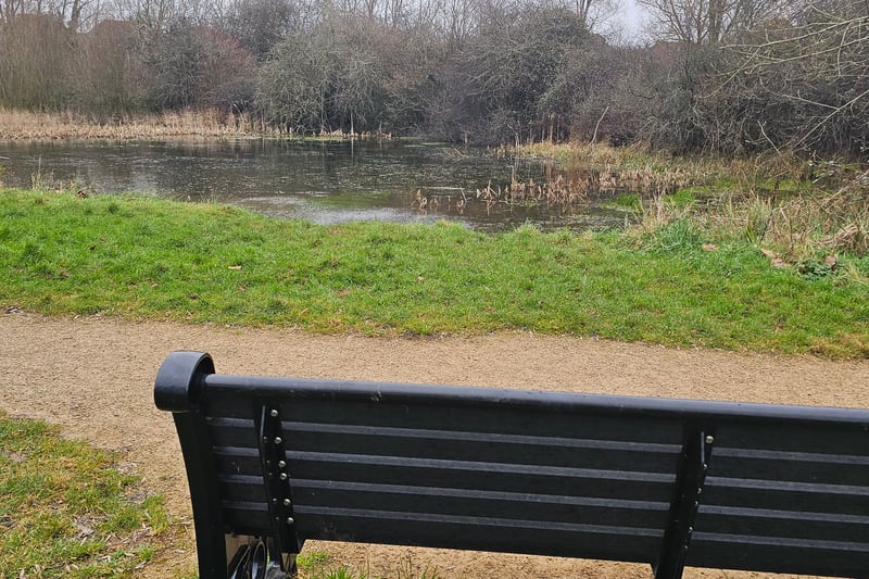There are multiple benches surrounding the perimeter of Black Horse Pond. 

