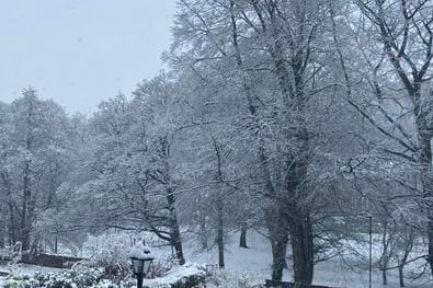 The trees' branches are all covered in snow, making S10 look like a Christmas card (Photo: Sharon Meakin)