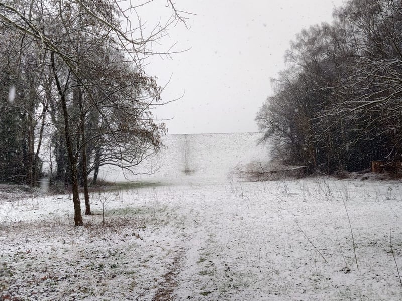 There was snow in popular attraction Roundhay Park today, with few visitors in sight.