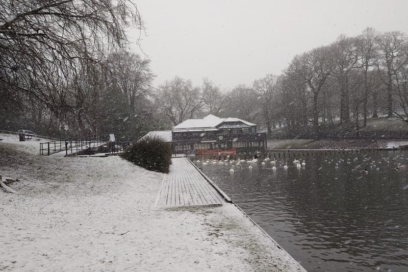 A blanket of snow covered Roundhay Park.