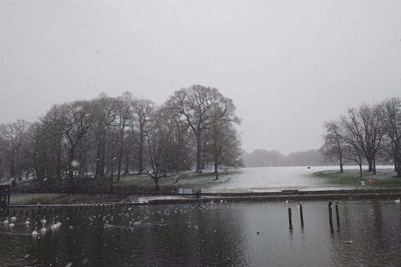 Snow in Roundhay Park.