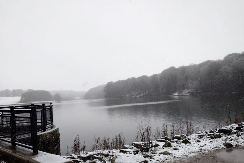 Waterloo Lake, at Roundhay Park, was surrounded by a covering of snow.