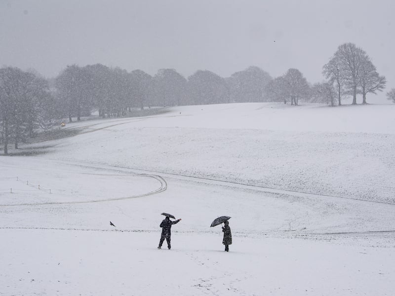 This image in the popular green space was captured by Yorkshire Evening Post photographer Tony Johnson.