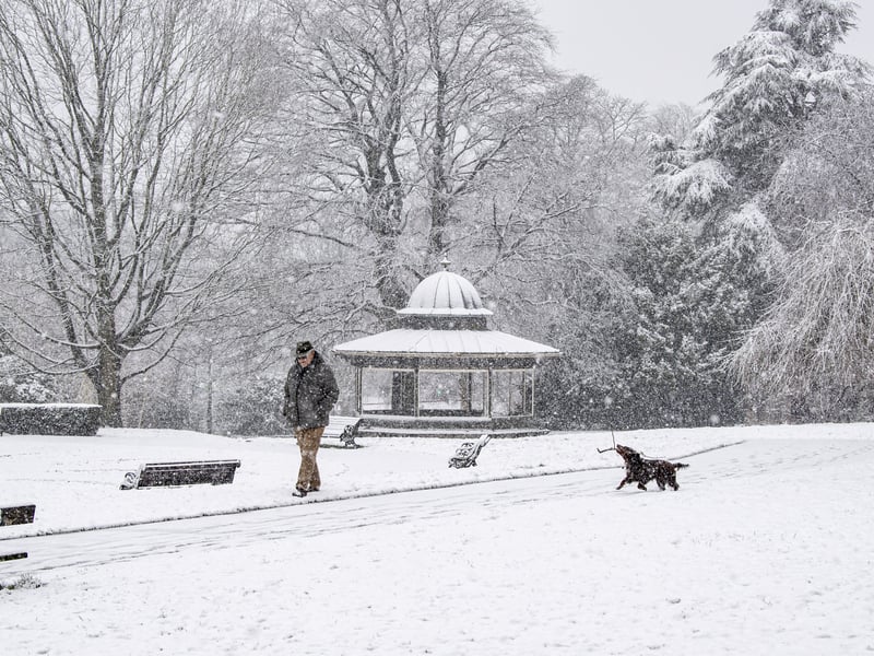 A snowy scene in Roundhay Park.