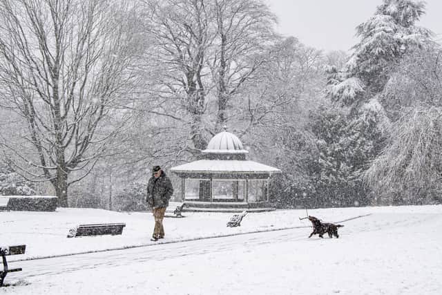 Snow in Roundhay Park (Photo by Tony Johnson/National World)