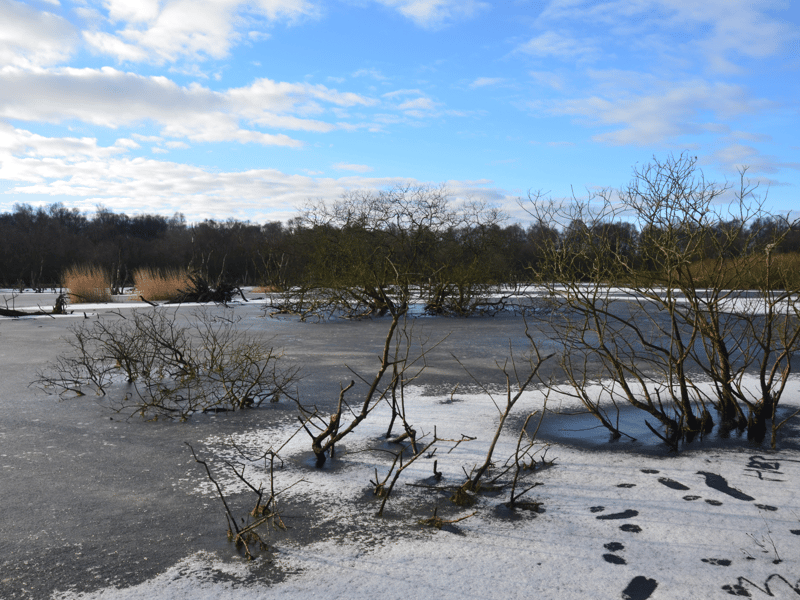 This town in west Fife was another recommendation from our readers and one very proud of its connection to the Fife coalfields and home to 'The Blue Brazil' - Cowdenbeath FC of the Scottish Lowland Football League.