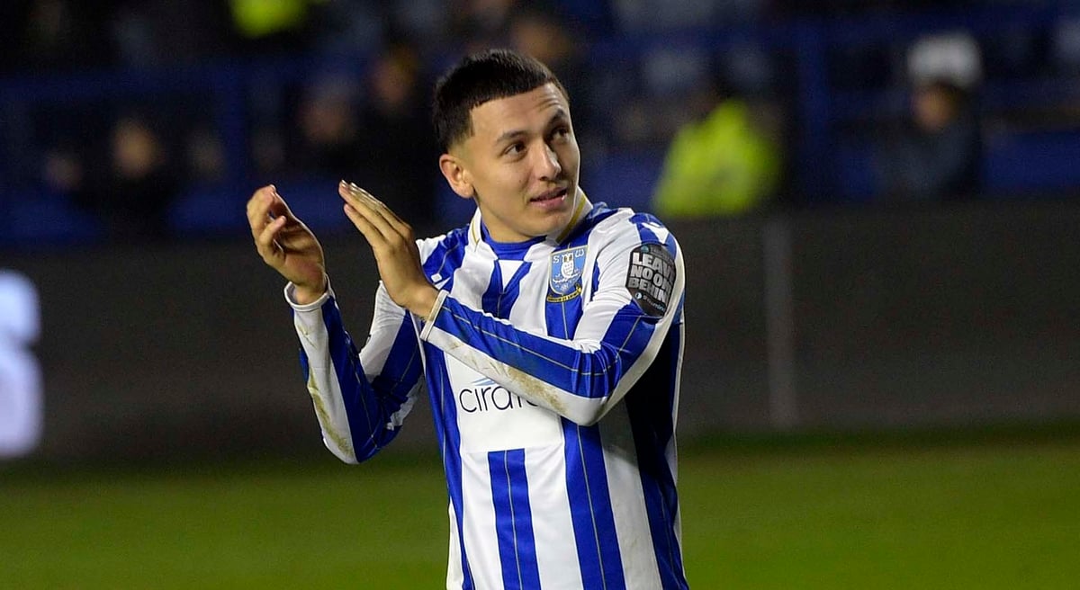 ‘What it’s all about’ - Sheffield Wednesday’s exciting new signing has one main goal