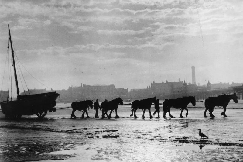 17th September 1934:  A team of horses hauling pleasure boats down to the sea on Blackpool beach at dawn.  (Photo by Fred Morley/Fox Photos/Getty Images)