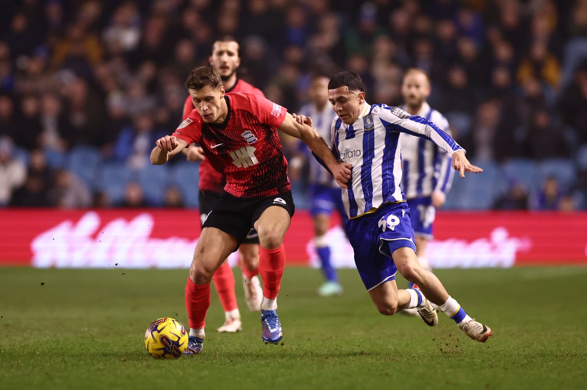 ‘Saw in his eyes’ - Sheffield Wednesday man ‘on fire’ to join Owls says Danny Röhl