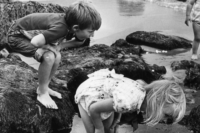 Philip Atkinson, six, and Kay Brennan, four, were having a great time as they explored the rock pools at Marsden in 1982.