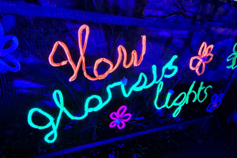 Co-created by Weston-based visual artist Bev G Star and service users from Sefton Park Rehab, Jill's garden has been adorned with UV decorations inspired by nature.
