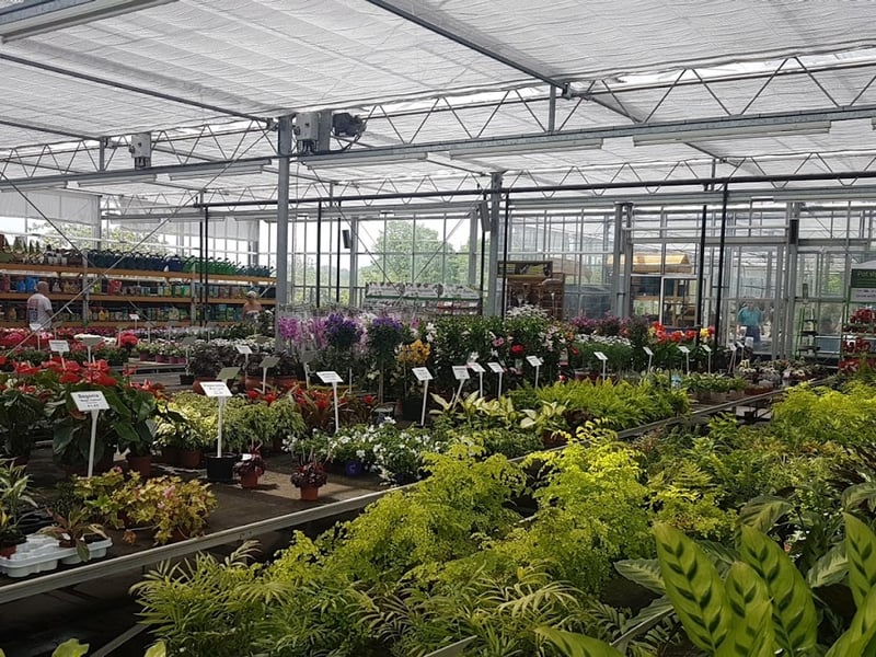 Swincar Nurseries, in Chevin End Road, Guiseley, was named one of the best garden centres in the city by YEP reader David Yewdall, who said the centre has "good range of plants" and "helpful friendly staff". 