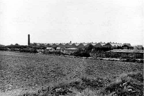 June 1955 and pictured is a distant view of Kirby Banks Screw Co. a large factory premises and a tall chimney on the left. In the foreground is a ploughed field and between this and the works are allotments, separated by a crumbling dry stone wall.