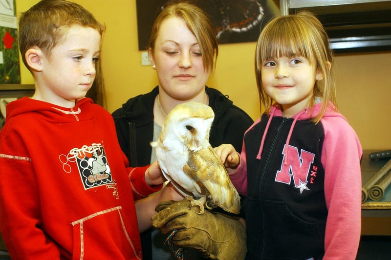 This beautiful owl was the main attraction at Rainton Meadows during half term fun in 2010.