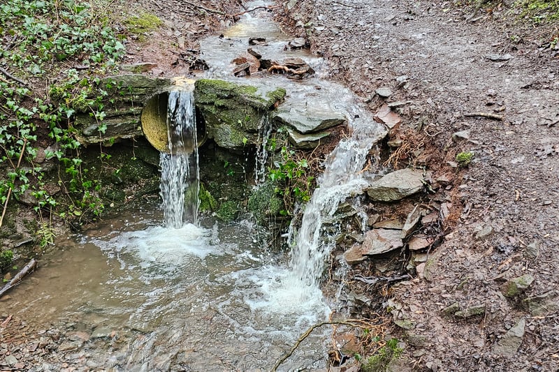 The surface of the stream is uneven, forming beautiful small cascades.