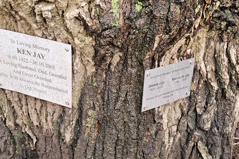 We came across some memorial plaques on trees in Bickley Wood in memory of Ken Jay, Jessie Jay and Kenneth Jay.
