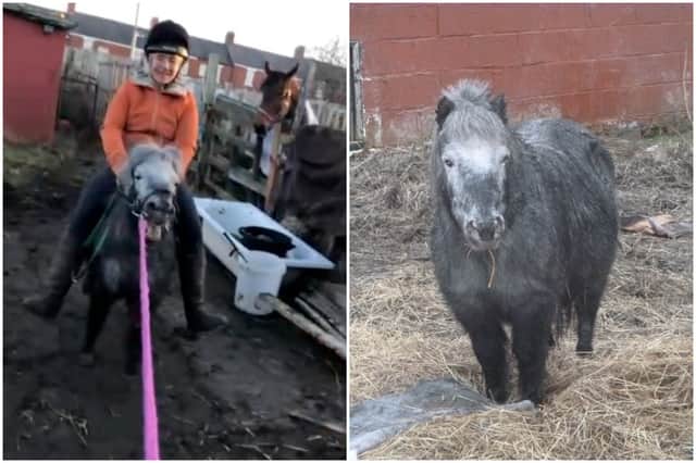 Another video found by the RSPCA on the couples' phones showed Elizabeth Melrose on a small, lame pony she was deemed "too heavy" for while whipping it with a stick. The pony's legs can been seen struggling in the video.
