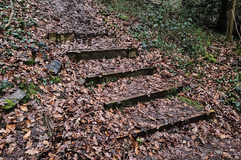 There are some sets of steps scattered across the woodlands and blending with the landscapes, creating some very picturesque images.
