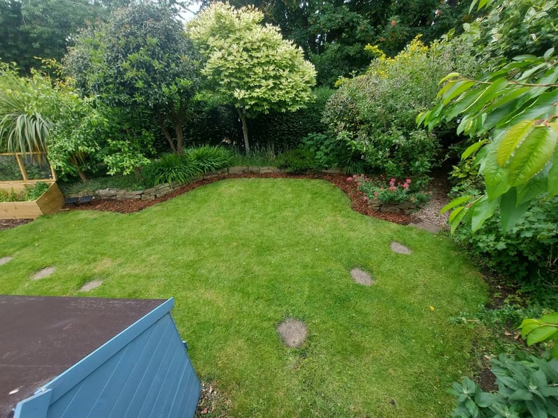 The mature trees and shrubs surround a large lawn with a number of evergreens ensuring the garden looks alive all year round.