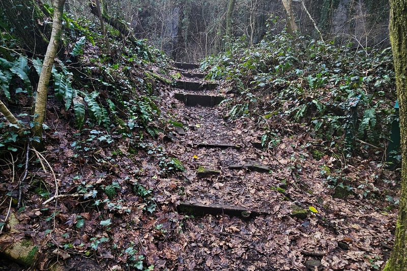 There are some sets of steps scattered across the woodlands and blending with the landscapes, creating some very picturesque images.