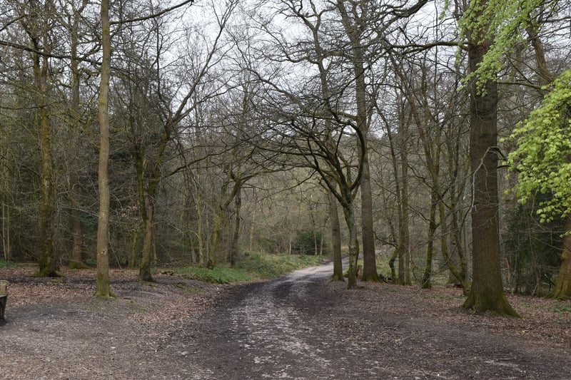 Introduce parking charges at Sutton Park, Lickey Hills Country Park and Sheldon Country Park. Preparation and capital works to take place in 2024/5 for implementation in 2025/6.
