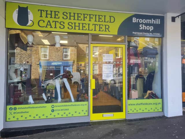 The Sheffield Cats Shelter's new charity shop in Broomhill.