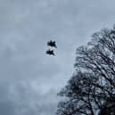 I joined the crowds for the Mi Amigo flypast, but not everyone was impressed. Pictured are the two F15 fighter jets over Endcliffe Park, Sheffield. Picture: David Kessen, National World