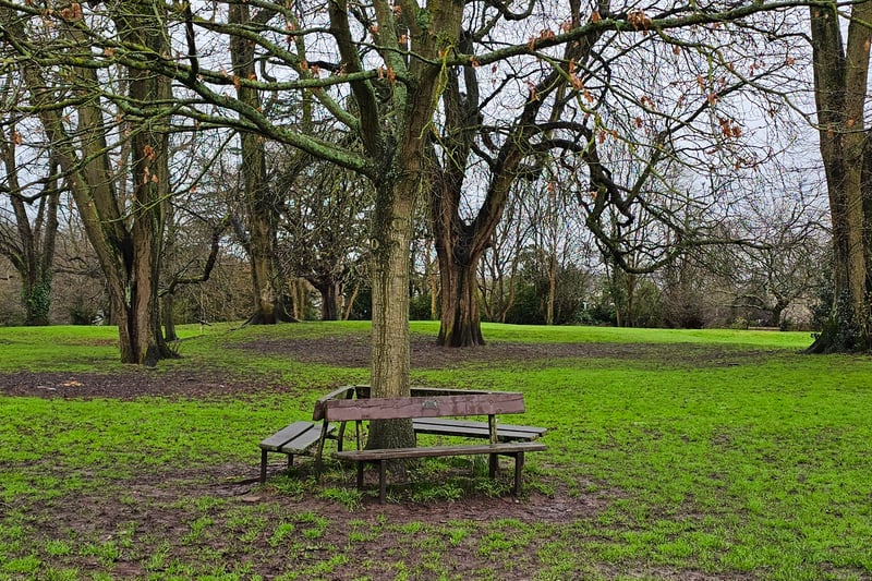 There are collections of benches surrounding trees in Frenchay Common, which can cater for larger groups looking for a place to rest.