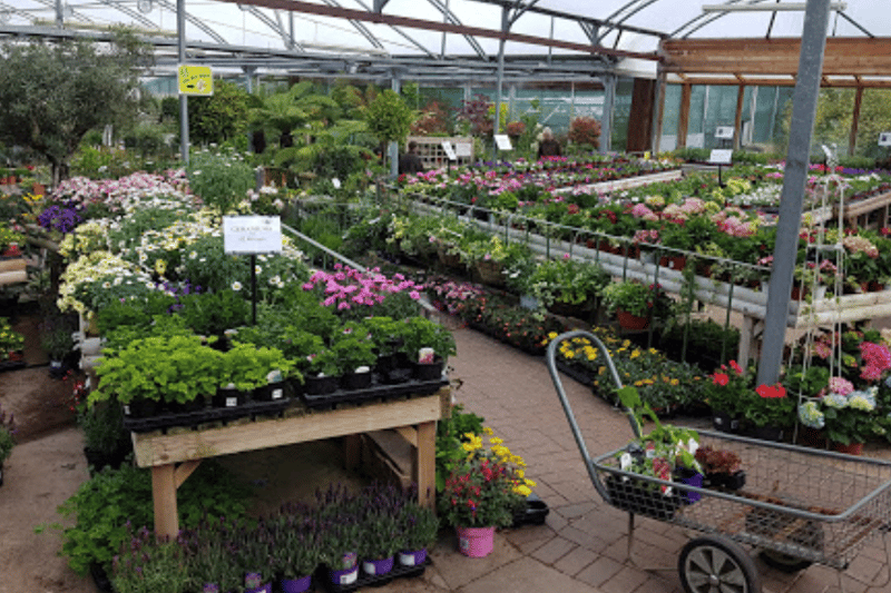 Brackenwood Plant & Garden Centre in Pill Road has a 4.5 rating on Google from 576 reviews.