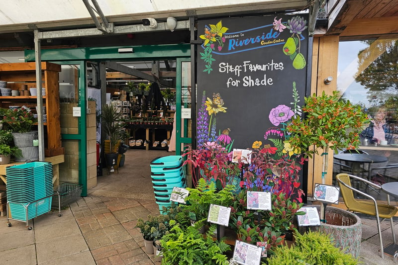 Riverside Garden Centre in Clift House Road, Southville, has a 4.6 rating on Google from over 1.2k reviews.