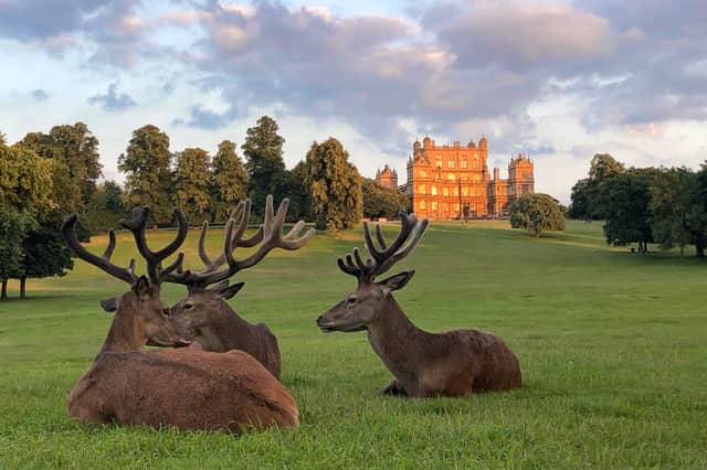 Describing Wollaton, Muddy Stilettos said: "This leafy ‘burb sits to the west of the city and is hugely popular with families and working couples for its convenience and relaxed vibe."