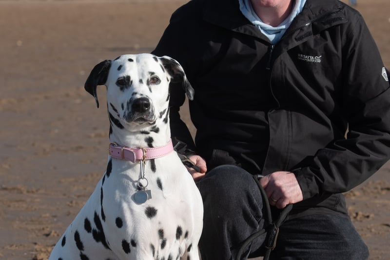 Dalmations and their owners meet for an annual Dally Dash on St Annes beach