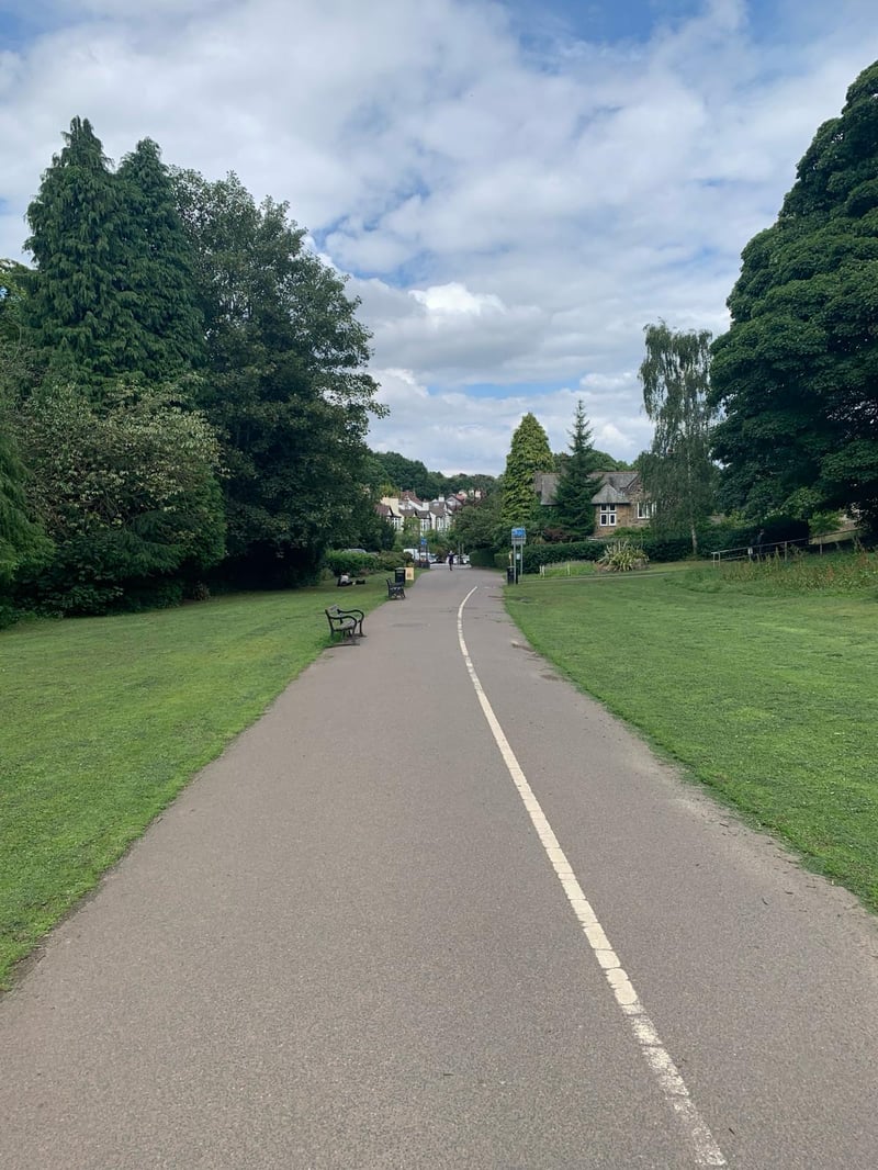 This photo is from Bingham Park (heading towards Endcliffe Park) but we have dozens of brilliant green spaces in Sheffield - including Graves Park, Rother Valley, the Bole Hills, Millhouses Park and more!